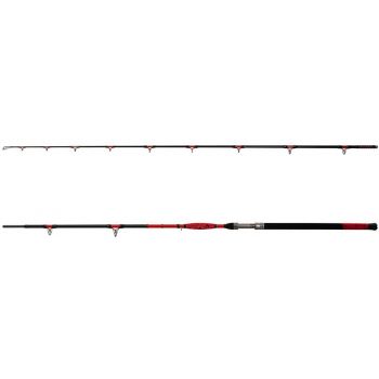 WĘDKA DELPHIN DANGER CATFISH 3,10m 350g SUMOWA