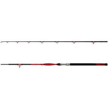 WĘDKA DELPHIN DANGER CATFISH 3,10m 350g SUMOWA