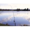 WĘDKA DELPHIN DANGER CATFISH 3,10m 350g SUMOWA