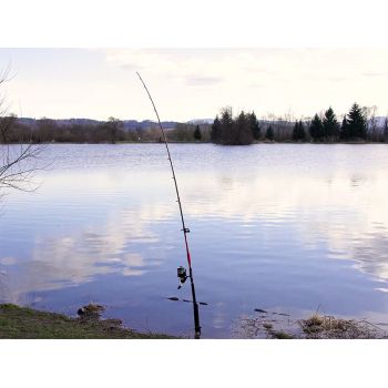 WĘDKA DELPHIN DANGER CATFISH 3,10m 350g SUMOWA