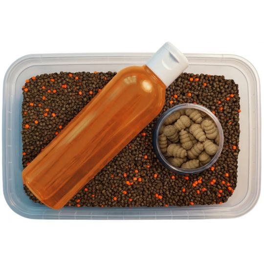 MULTIPACK FEEDER BAIT ORZECH TYGRYSI 3w1 PELLET PR