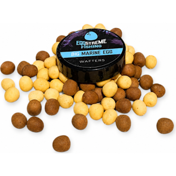WAFTERS OSMO EGGSTREME...