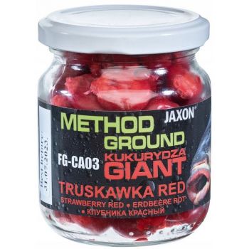 KUKURYDZA JAXON GIGANT...