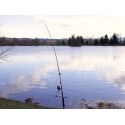 WĘDKA DELPHIN DANGER CATFISH 3,10m 350g SUMOWA