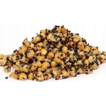 ZIARNO CARP OLD SCHOOL ZANĘTOWE MIX 1kg SCOPEX