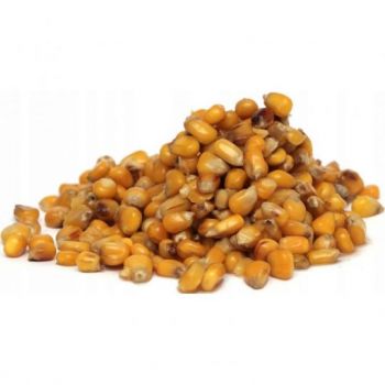 KUKURYDZA CARP OLD SCHOOL ZANĘTOWA 1kg NATURAL