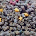 PELLET OSMO PRO PELLET DARK 2mm 900g