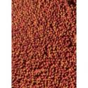 PELLET FEEDER BAIT GOTOWY 2mm WIADRO ŚLIWKA CZOSNE