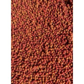 PELLET FEEDER BAIT GOTOWY 2mm WIADRO ŚLIWKA CZOSNE