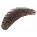 PRZYNĘTA MIKADO ROBAK M-AREA MAGGOT GUMA 4.2cm PE