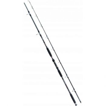 WĘDKA JAXON ECLATIS CAT FISH 2,70m 50-120g CATFISH