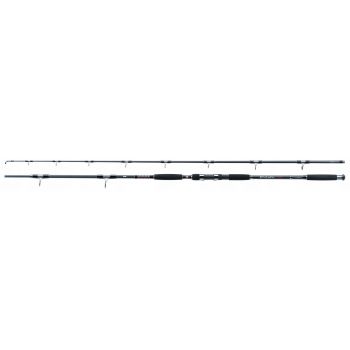 WĘDKA JAXON ECLATIS CAT FISH 2,70m 50-120g CATFISH