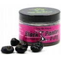 PRZYNĘTA CARP OLD SCHOOL ORZECH BLACK PINK PANTER